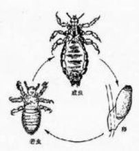 BC贷(中国区)官方网站_首页361